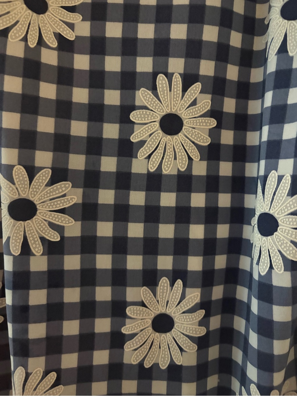 Vintage Active USA Blue and White Gingham dress with Daisy Detail - Picture 4 of 4